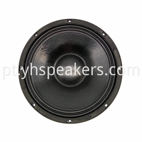 Neodymium 12 inch Professional Woofer Audio Speaker
